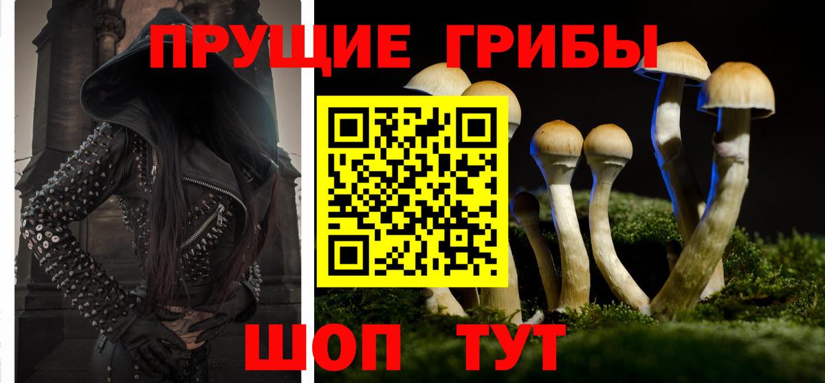 цена   Вход с VPN  Балашов  Галлюциногенные грибы прущие грибы 
